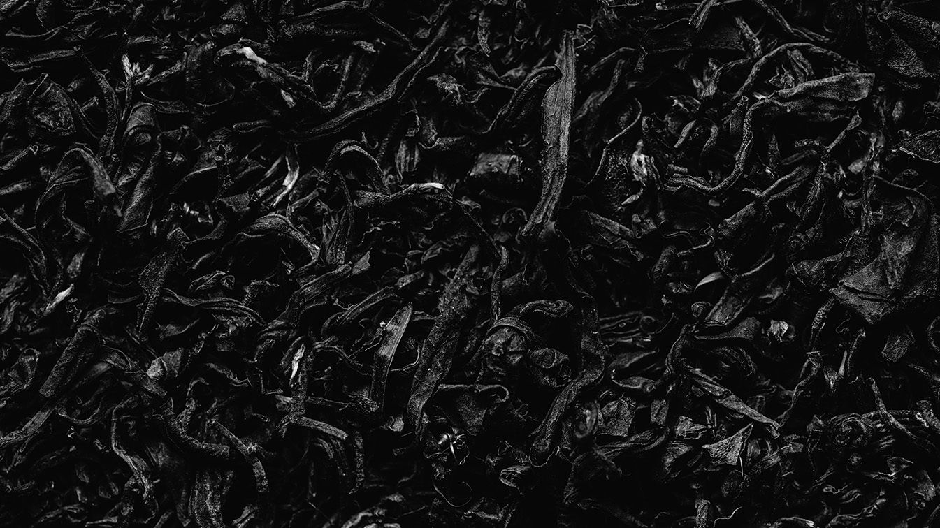 Loose tea close up photo